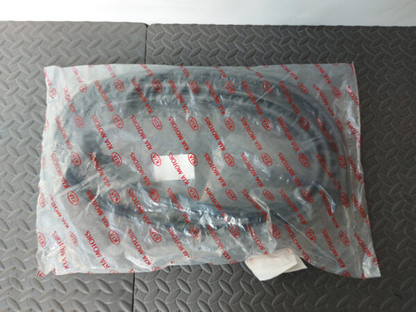 Borracha Porta - Image 3